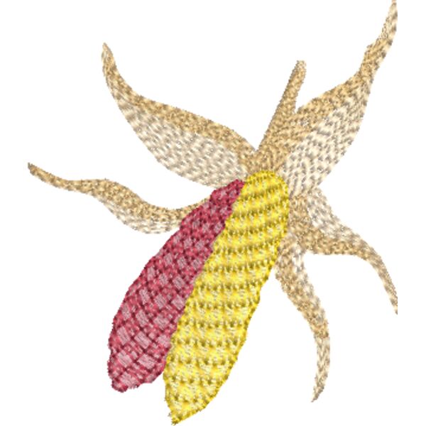 FP026 Thumbnail