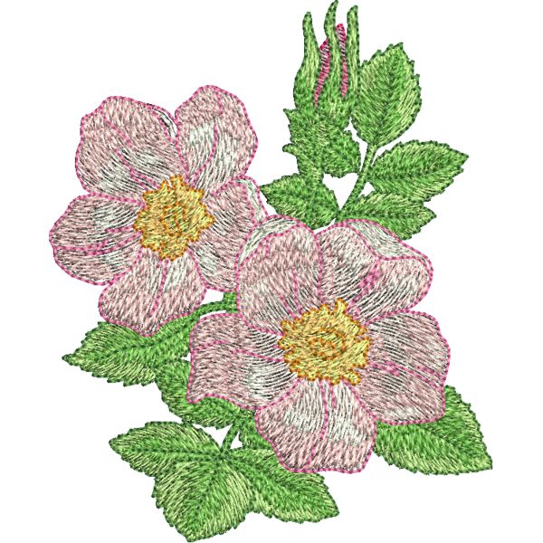 328968 Thumbnail